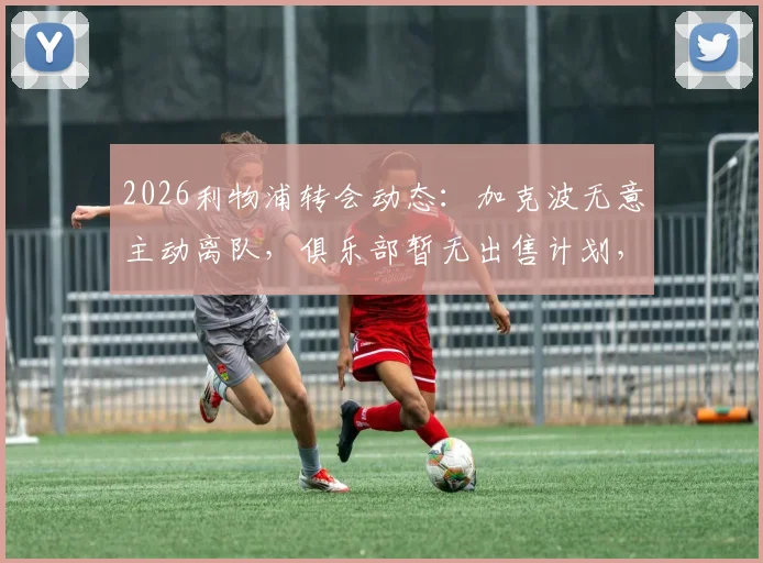 2026利物浦转会动态：加克波无意主动离队，俱乐部暂无出售计划，球员未来前景分析